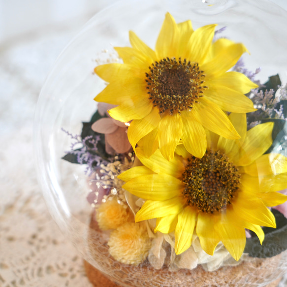 【完成品】ガラスドームＬ／ひまわり 1枚目の画像