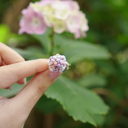 紫陽花のリング 10枚目の画像