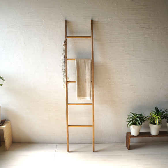 さりげない美しい収納♪スリムラダーラック ハンガー パシュミナ