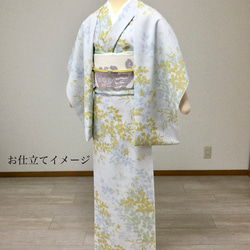 楽天市場】阿波しじら織り 木綿 着物 夏着物 浴衣 コットン着物