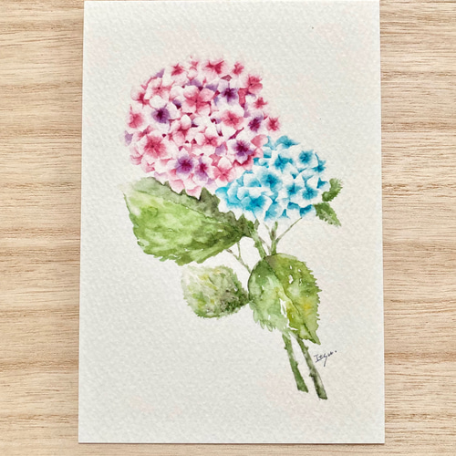 Amazon.co.jp: 377＊紫陽花とイギリス館 水彩画 原画 透明水彩