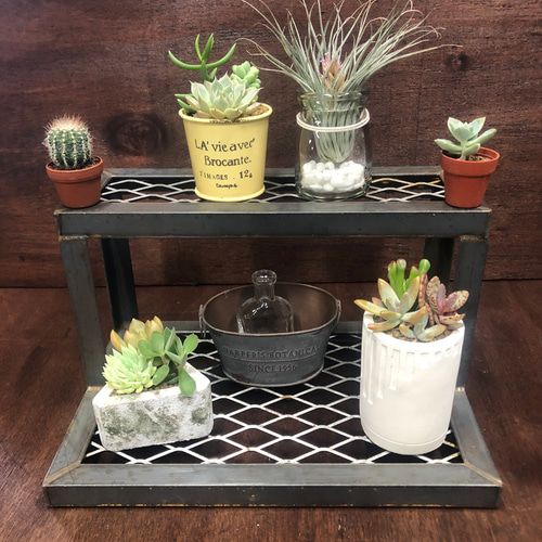 さ*ら様 植物用小型2段アイアンラック 楽天市場】【特典あり】アイアンレッグラック 2段[2段ラック フラワー