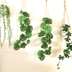 フィットニアのハンギングプランツ(中央・1個)フェイクグリーン