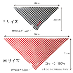  第3張的照片