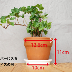 木製 鉢カバー（4号鉢用）ヒノキ材1　植木鉢カバー 7枚目の画像