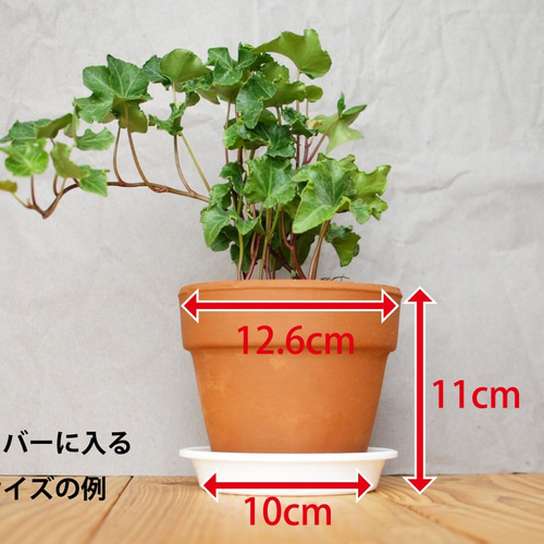 木製 鉢カバー（4号鉢用）ヒノキ材1 植木鉢カバー その他インテリア