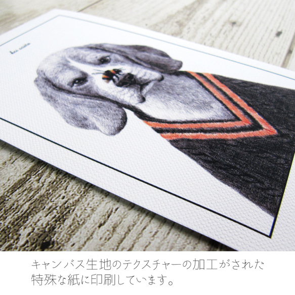 お好みのイラストカード（キャンバス加工)3枚セット【159.QUACK!】 2枚目の画像