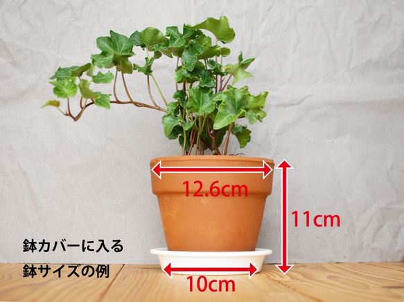 木製 鉢カバー（4号鉢用）ヒノキ材3　植木鉢カバー 7枚目の画像