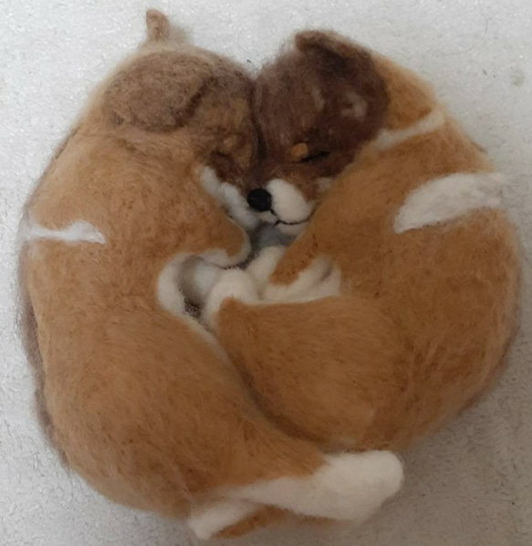 羊毛フェルト　二匹がくっいて寝る柴子犬 1枚目の画像