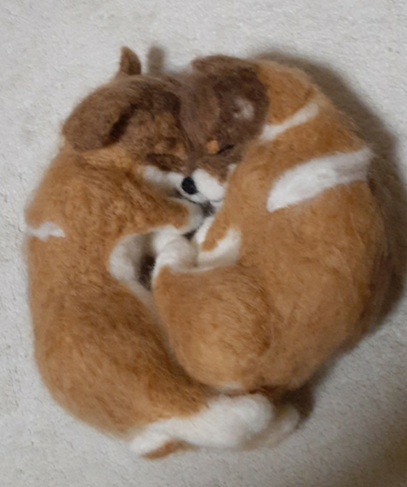 羊毛フェルト　二匹がくっいて寝る柴子犬 3枚目の画像