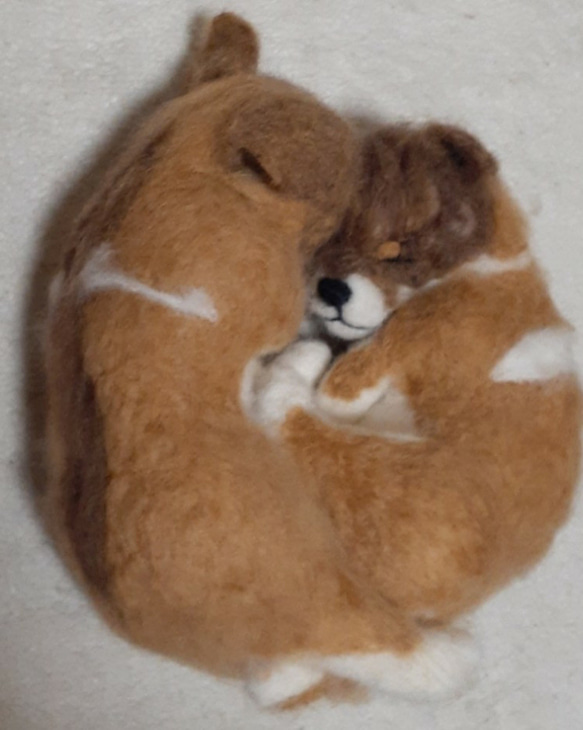 羊毛フェルト　二匹がくっいて寝る柴子犬 2枚目の画像