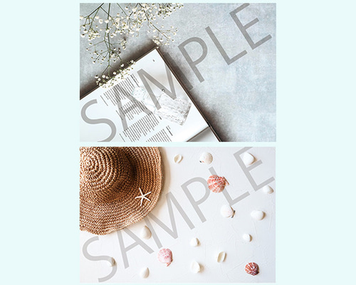 Peggy54776さま専用商品 Pebbly公式通販サイト｜Catsfriendsの通販サイト