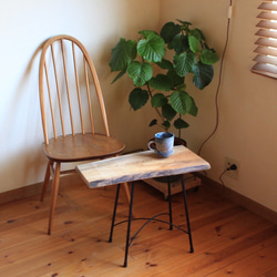 天然木　ケヤキの一枚板のサイドテーブル　アイアン　飾り棚　一点もの⑥ 1枚目の画像