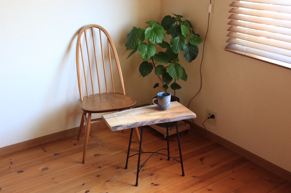 天然木　ケヤキの一枚板のサイドテーブル　アイアン　飾り棚　一点もの⑥ 1枚目の画像