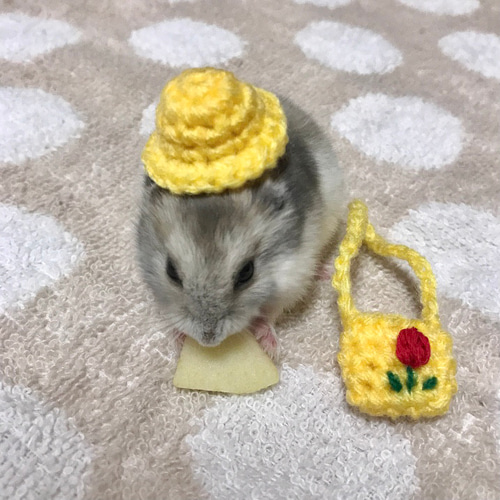 入園入学5点セットハムスター花柄