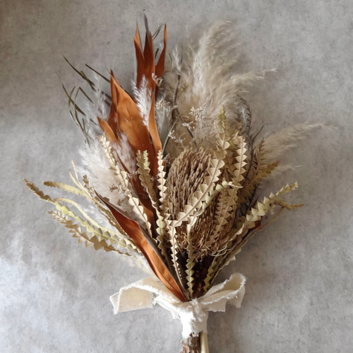 ドライフラワー★大きめネイティブバンクシアリース　プルモーサム　グラスペディア ドライフラワー☆大きめネイティブバンクシアリース プルモーサム