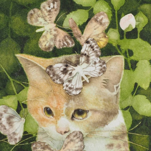 三毛猫とバラと蝶と 「 まだしらないキモチ 」 絵画 モリカナコ(mori