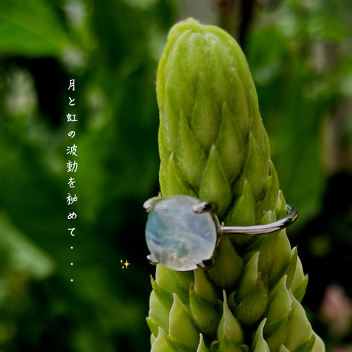 ②月の力が宿った石✴レインボームーンストー　リング　Silver925ン レインボームーンストーン リング 18kgp/sv925（sv-305-1