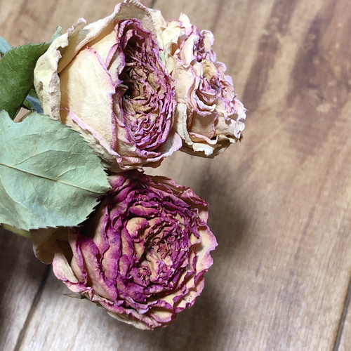 【ハンドメイド】ドライフラワー　バラ 楽天市場】【小分け】 『ミニバラヘッド アソート』 薔薇 ドライ