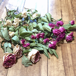 バラ 薔薇 ホワイト＆ピンク ドライフラワー 15本 【ピエールド