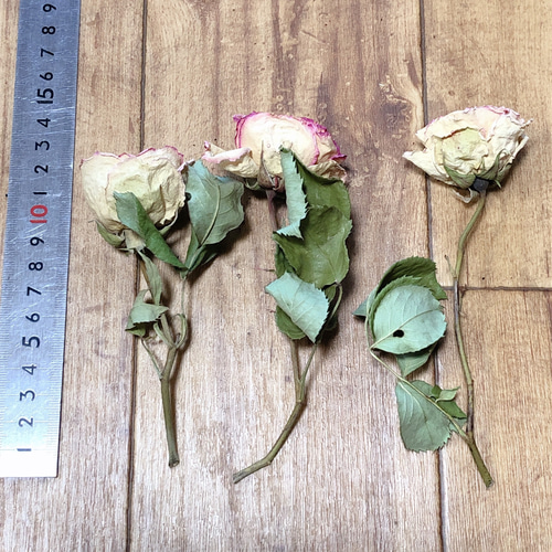 【ハンドメイド】ドライフラワー　バラ ハンドメイド】ドライフラワー バラ 楽天市場】【ハンドメイド