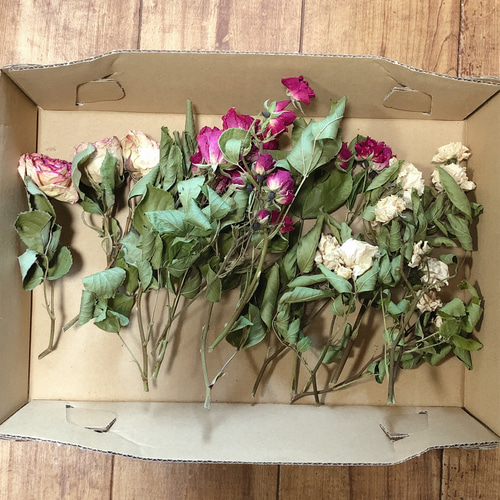バラ 薔薇 ホワイト＆ピンク ドライフラワー 15本 【ピエールド