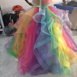 閃閃發光的彩虹色連身裙 荷葉邊褶邊 婚禮 熊上衣 公主系列 婚禮/招待會 第10張的照片