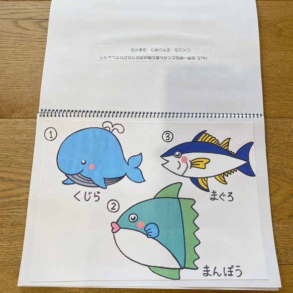 海の生き物クイズ　スケッチブックシアター　クイズ　海　魚　3〜5歳向け 5枚目の画像