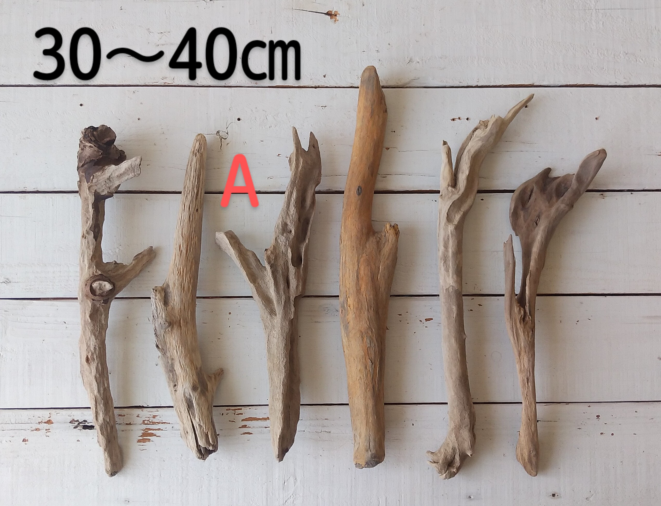 流木 約40cm