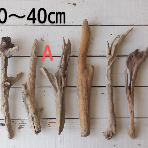 流木 6本 【公式通販】