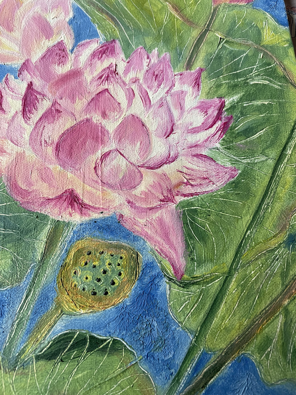 蓮の花　lotus 5枚目の画像