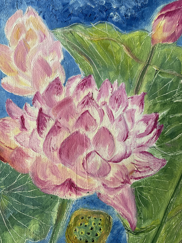 蓮の花　lotus 6枚目の画像