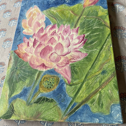 蓮の花　lotus 4枚目の画像