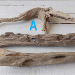 個性的な流木３点セット 2枚目の画像