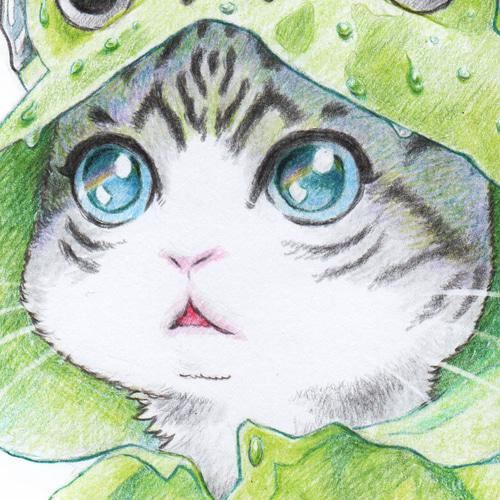 カエルレインコートねこさんイラストポストカード・5枚セット ポスト