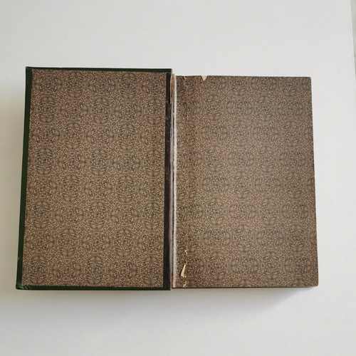 大きな取引 大人気アンティーク本】ドイツ/ E.Werner 小説本第1巻 その他 洋書