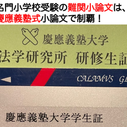 小学校受験　お受験　モンテッソーリ　慶応義塾横浜初等部 過去問 願書 早稲田実業 慶応幼稚舎 稲花 筑波附 お茶の水 6枚目の画像