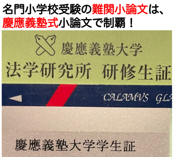 小学校受験　お受験　モンテッソーリ　慶応義塾横浜初等部 過去問 願書 早稲田実業 慶応幼稚舎 稲花 筑波附 お茶の水 6枚目の画像