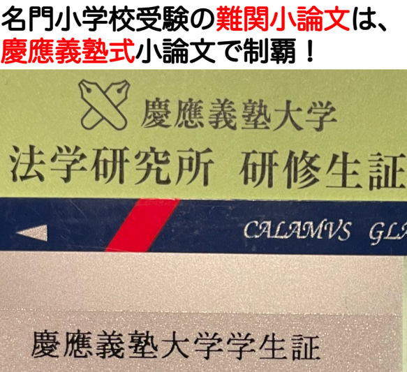 小学校受験　お受験　モンテッソーリ　東京農業大学稲花小学校 過去問 願書 早稲田実業 慶応幼稚舎 横浜初等部 筑波小 9枚目の画像