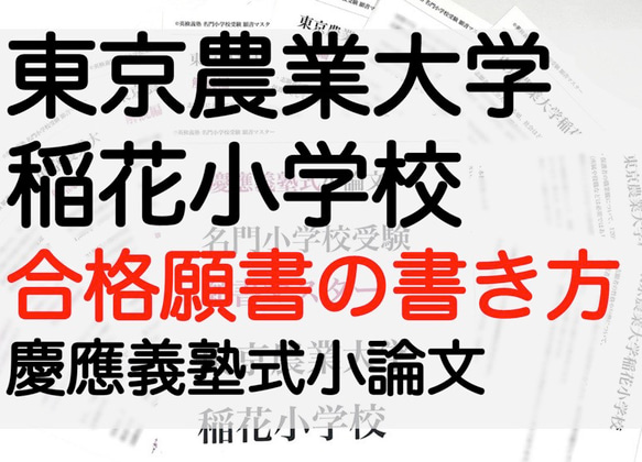 小学校受験　お受験　モンテッソーリ　東京農業大学稲花小学校 過去問 願書 早稲田実業 慶応幼稚舎 横浜初等部 筑波小 1枚目の画像