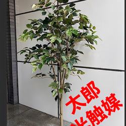 光触媒 人工観葉植物 ウォールグリーン フェイク フラワー バンブー竹