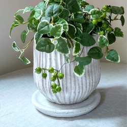 フェイクグリーンの鉢植え(プミラ&ベリー)／白陶器  人工観葉植物 4枚目の画像