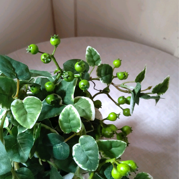 フェイクグリーンの鉢植え(プミラ&ベリー)／白陶器  人工観葉植物 5枚目の画像