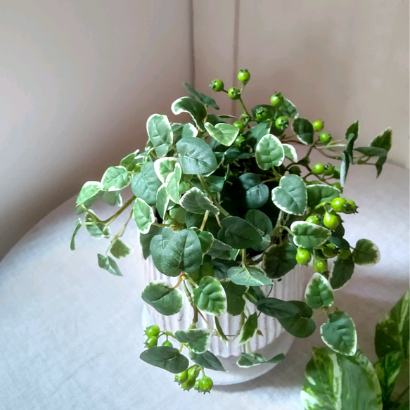 フェイクグリーンの鉢植え(プミラ&ベリー)／白陶器  人工観葉植物 3枚目の画像