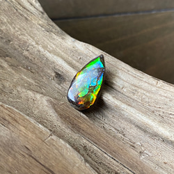 天然アンモライト ルース