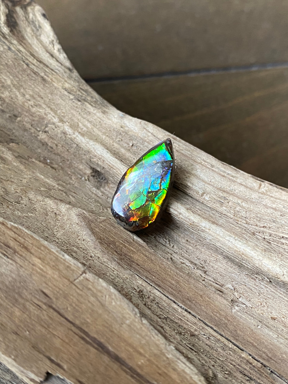 アンモライト超美品 【公式通販】