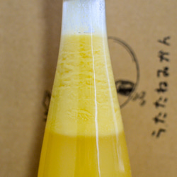 《リモンチェッロ》綺麗な湧水で育てた完熟レモンでつくりました！(お試しボトル180ml) 10枚目の画像