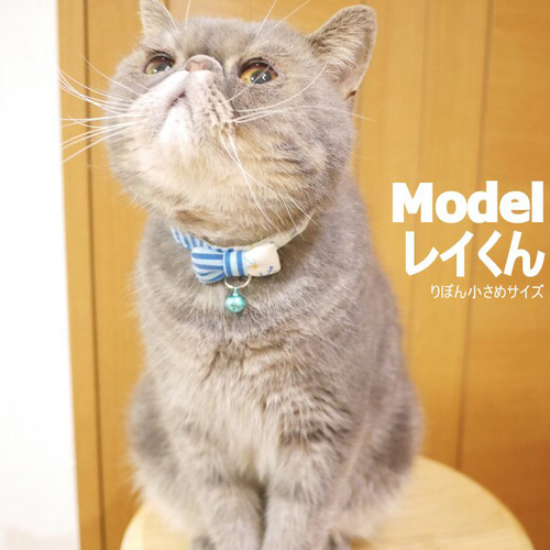マリン柄、わんちゃん猫ちゃん用首輪 気分一新！ホワイトマリンの猫ちゃん首輪 項圈・吊牌・鍊子