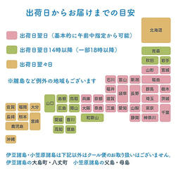 センイルケーキ 4号・5号【オーダーメイド】推しケーキ 韓国スイーツ 誕生日ケーキ 13枚目の画像