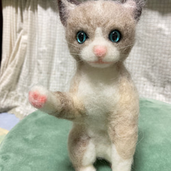 受注制作  羊毛フェルト猫オーダー 2枚目の画像